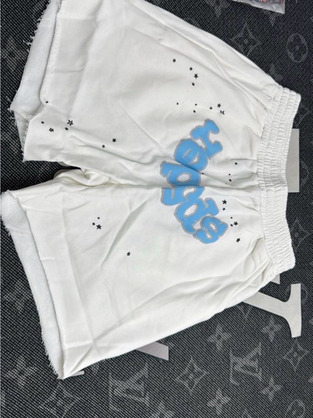 Spyder Shorts